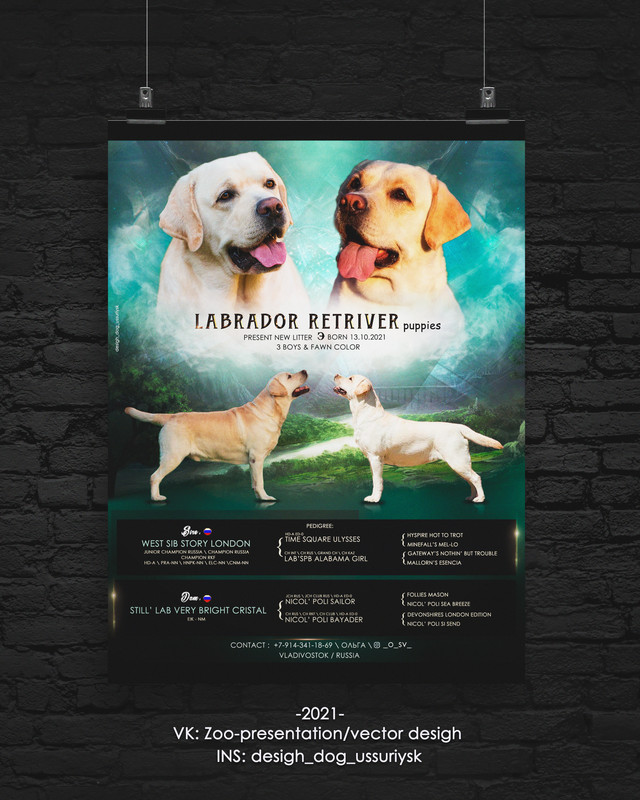 Poster-Dark-by-Don-лабры