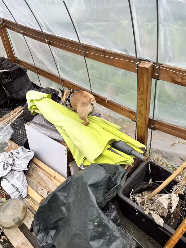 CE27B257-D018-4879-9019-10174106CA0E