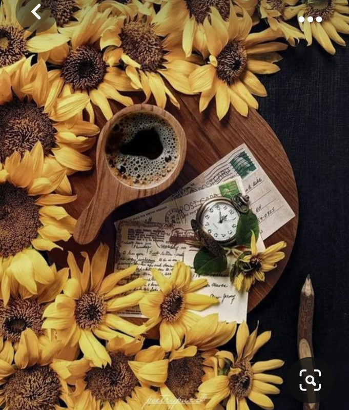 Screenshot_20231031_220149_Pinterest