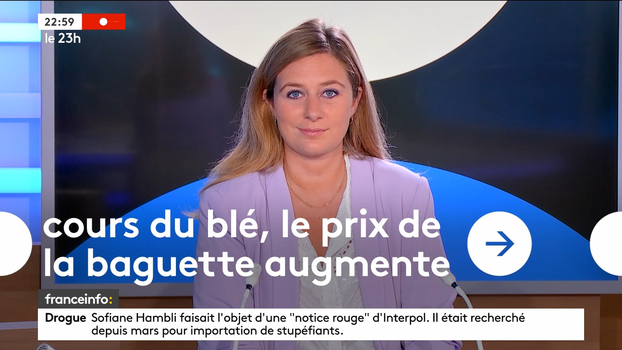 10.25 - 21.59.00 - Le 23h. Le grand JT du soir de France Télévisions,....ts_snapshot_00.02.39.495