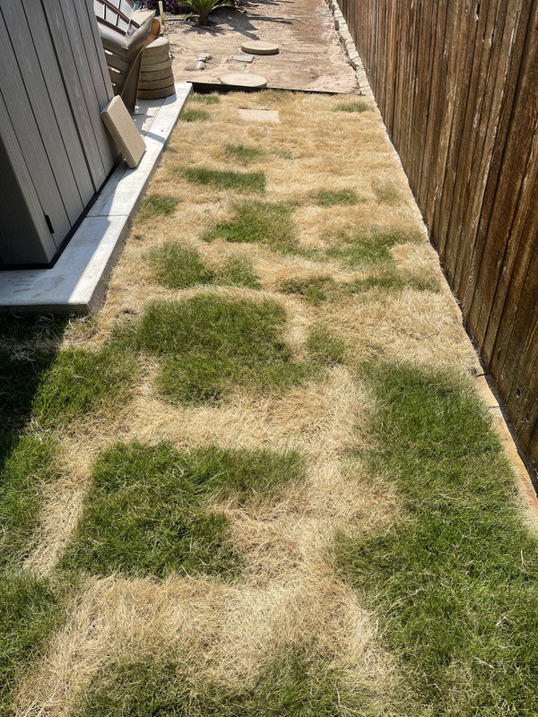 45CF87E4-0480-44D9-9BA0-CD3089CE6520