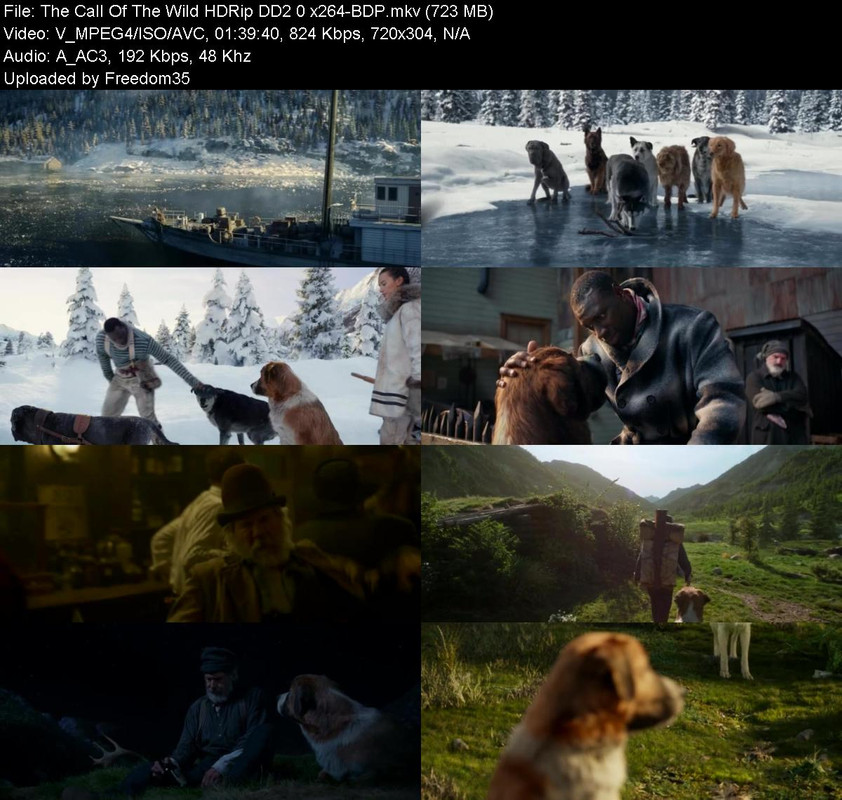 The-Call-Of-The-Wild-HDRip-DD2-0-x264-BD