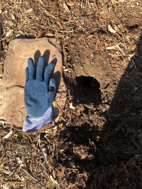 0C733798-B056-4641-B94E-361252F70610