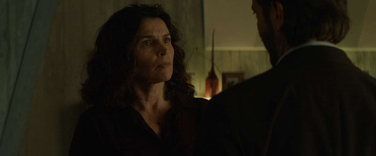 Rememory 2017 (1080p x265 10bit Tigole).mkv_snapshot_01.16.37_[2