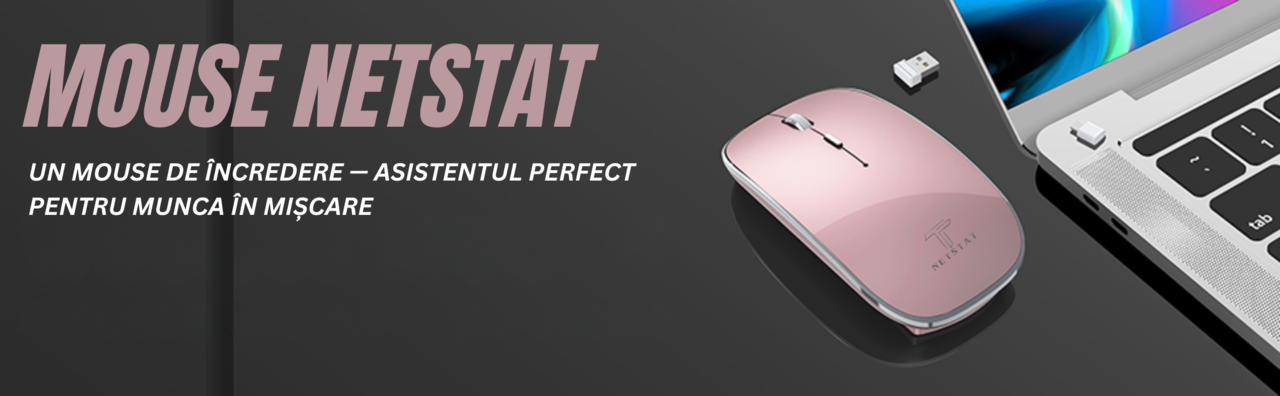 Mouse NETSTAT Prezentare 1