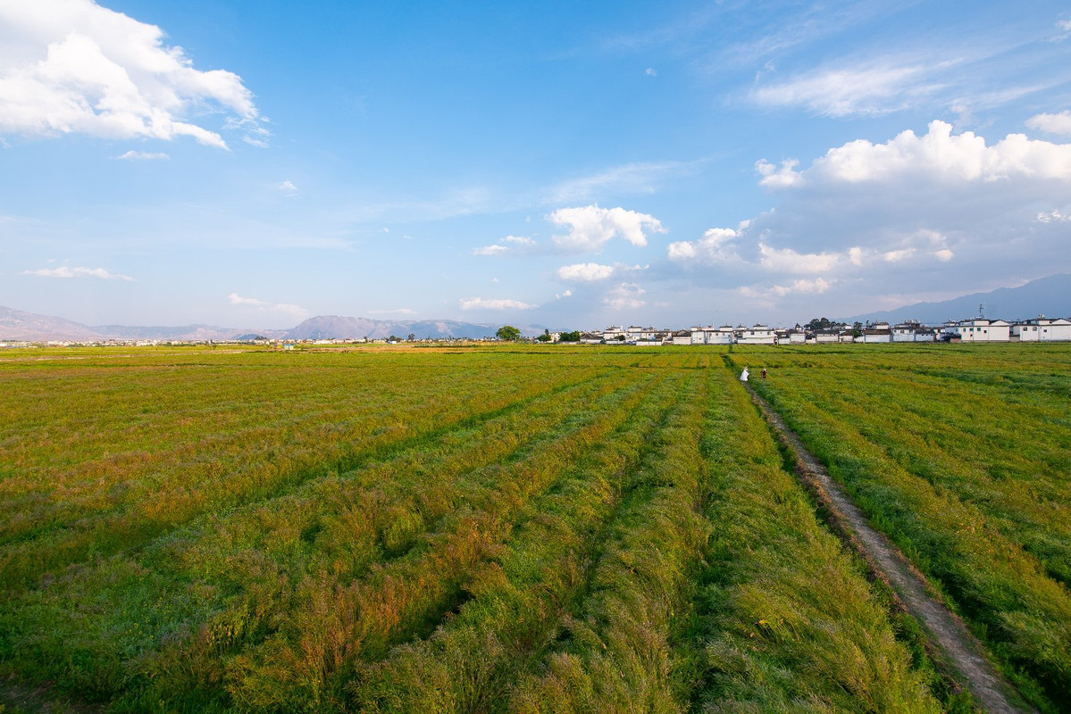 Yunnan 2019 - Blogs de China - Dia 3 - Dali + Erhai Lake (49)