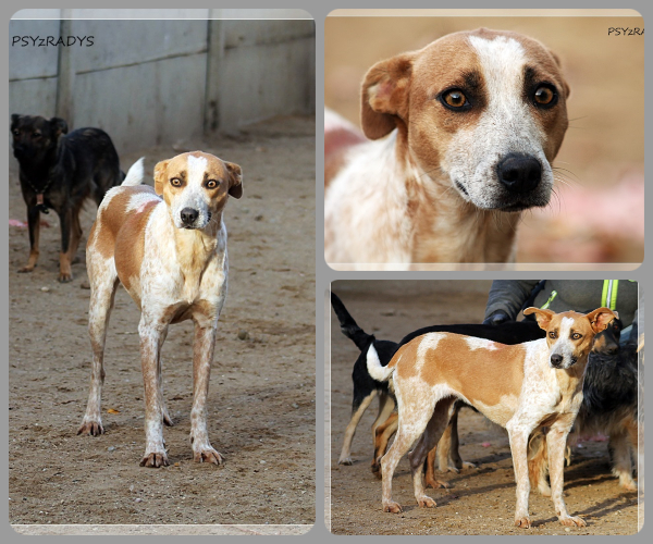 BeFunky-collage (25)