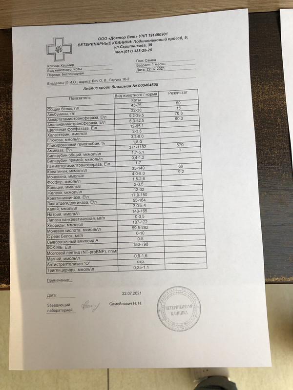 3848A08E-16D4-4052-8AF7-E247CA351AF2