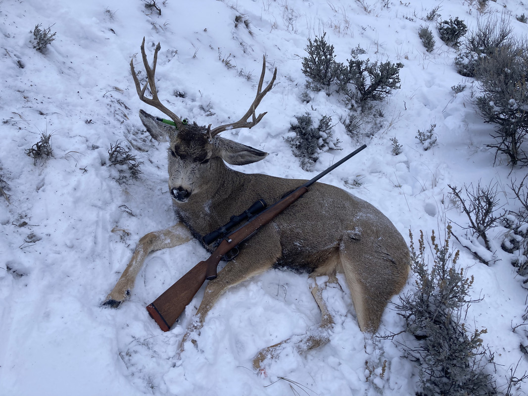 8BA9B963-23AA-4A53-8967-7342D12C2C66