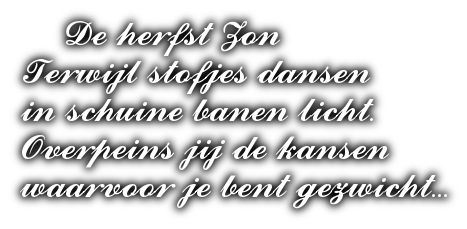 cooltext397079570022862