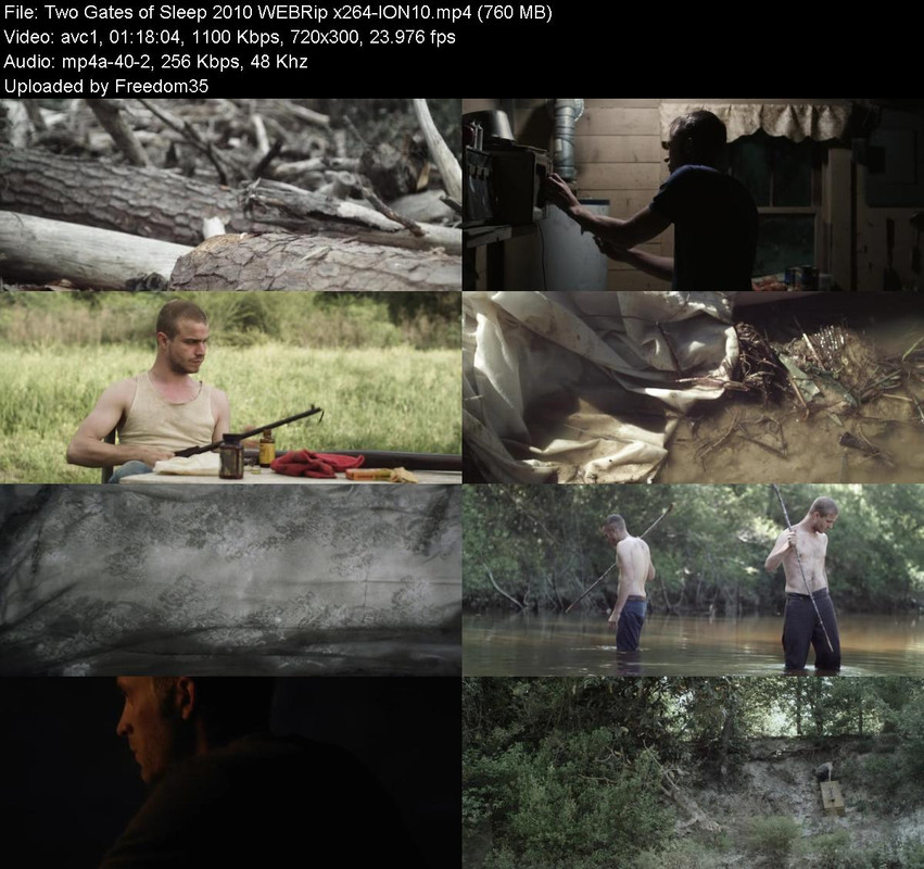 Two-Gates-of-Sleep-2010-WEBRip-x264-ION1