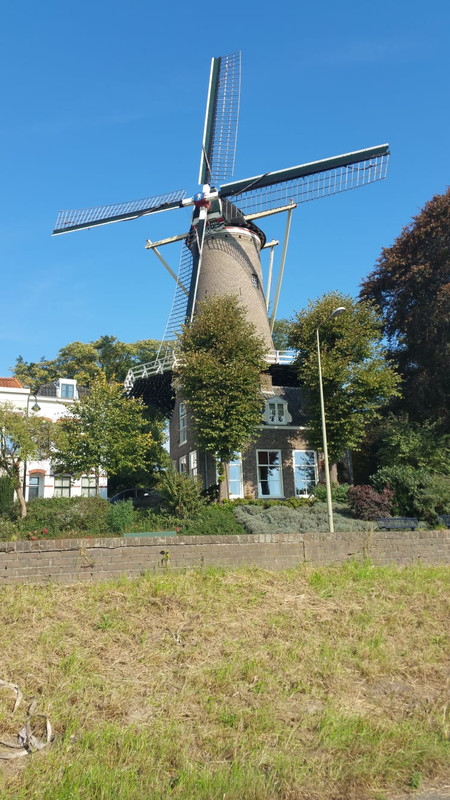 Pieter, 't Slot 02 Gouda 06-10-2018