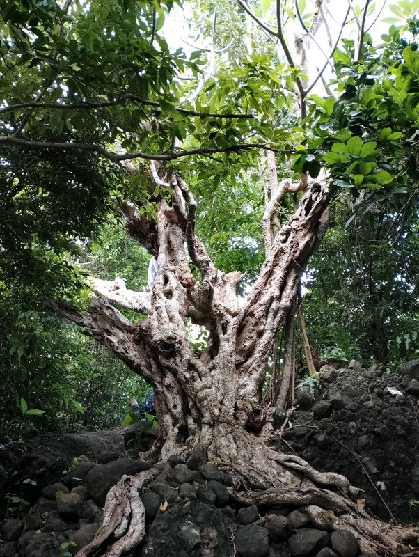 A99F80D5-42BB-45A9-87A2-DCB28DE9F63E