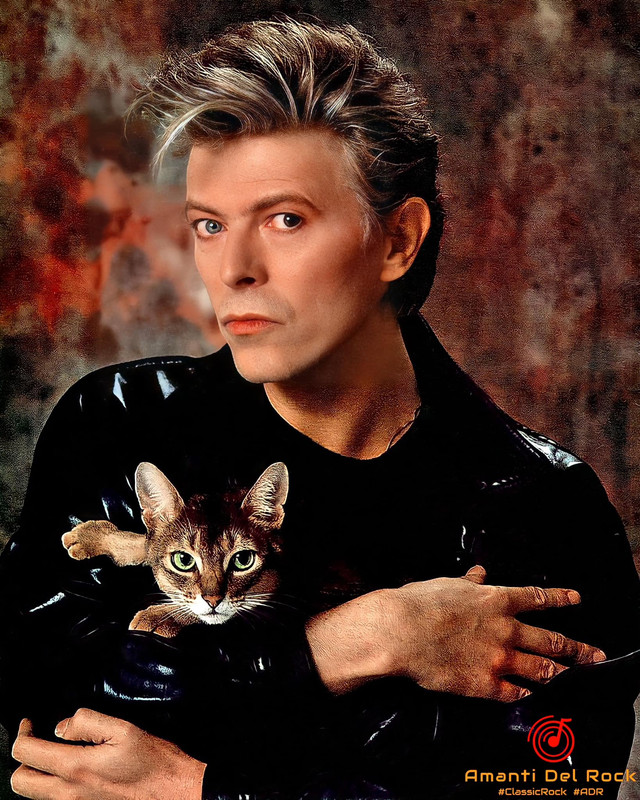 bowiecat.jpg