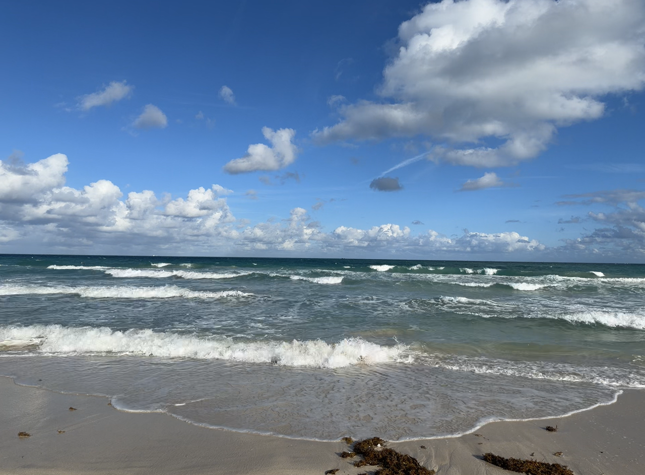 [Image: South-Pointe10.png]