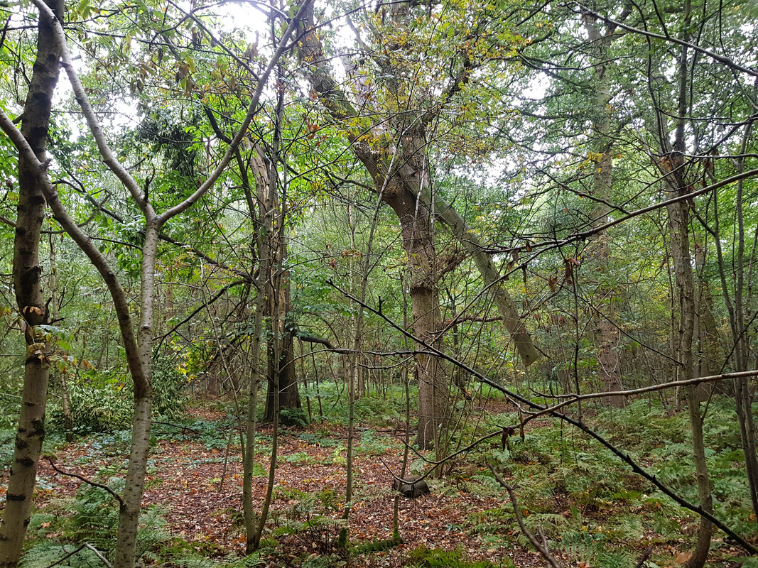 20180920_102041.jpg