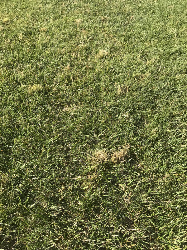 2B90D78C-A1E1-4421-8E1C-74925F2B4572