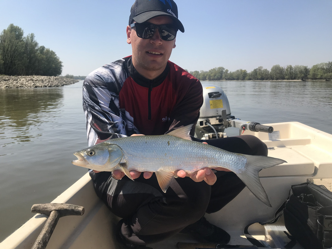 933EFD9D-74E1-453F-81EB-82B1F650250A