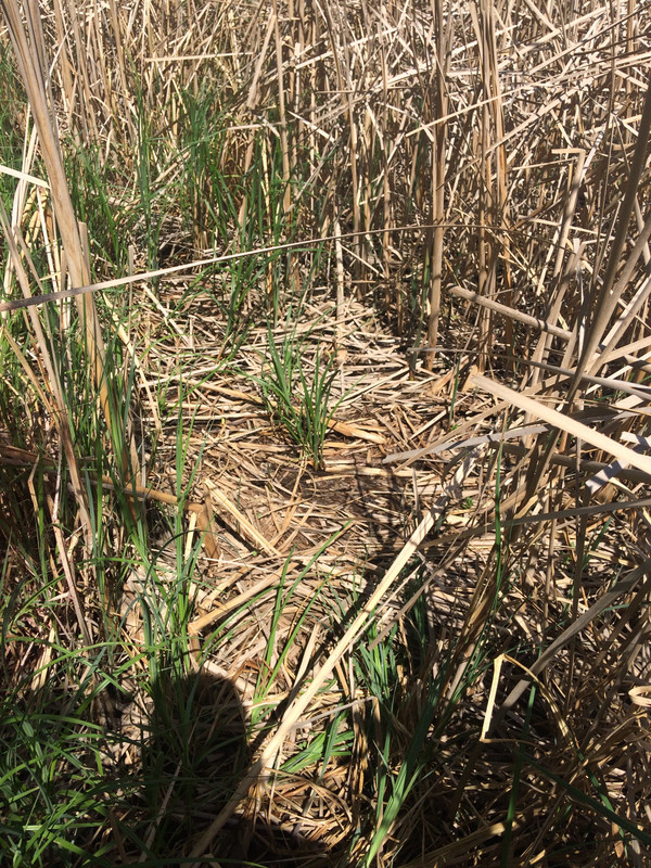 773E44B9-B553-4FCC-9873-4FD5589C438B