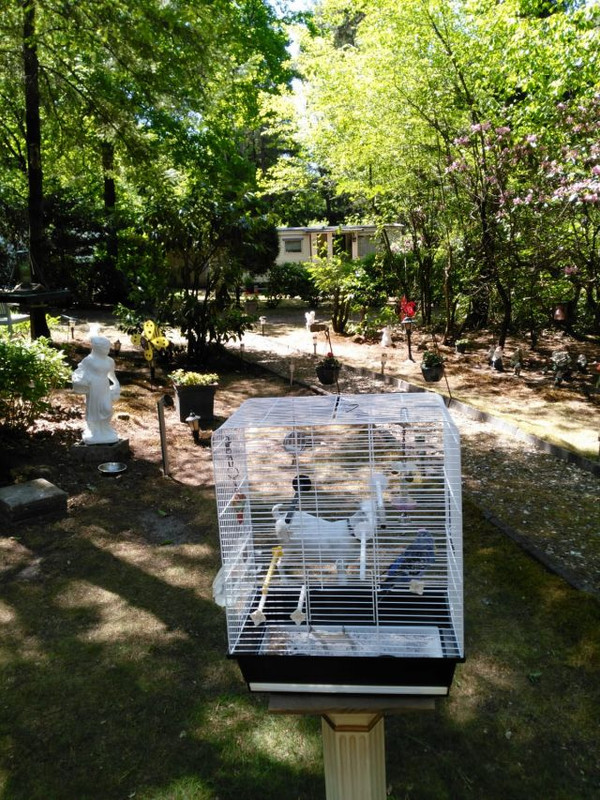 15f9m8dE-1591473111-373ff0810c53fdb0a316170074ea8480Dushy 2