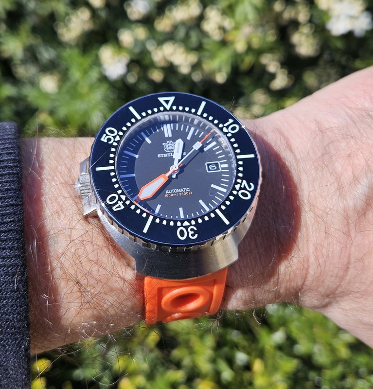  Le club des heureux propriétaires décomplexés de montres "hommage" - tome 10 20250406-124004