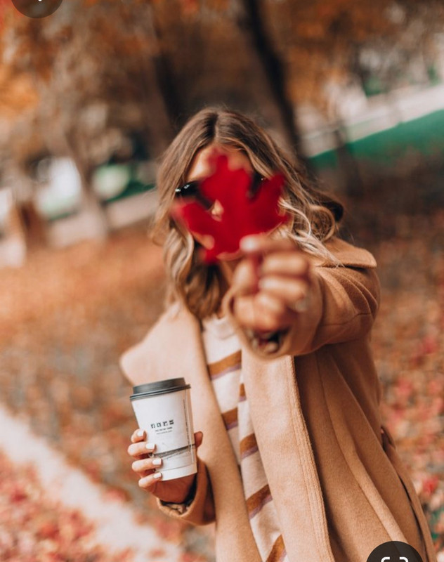 Screenshot_20231117_205546_Pinterest