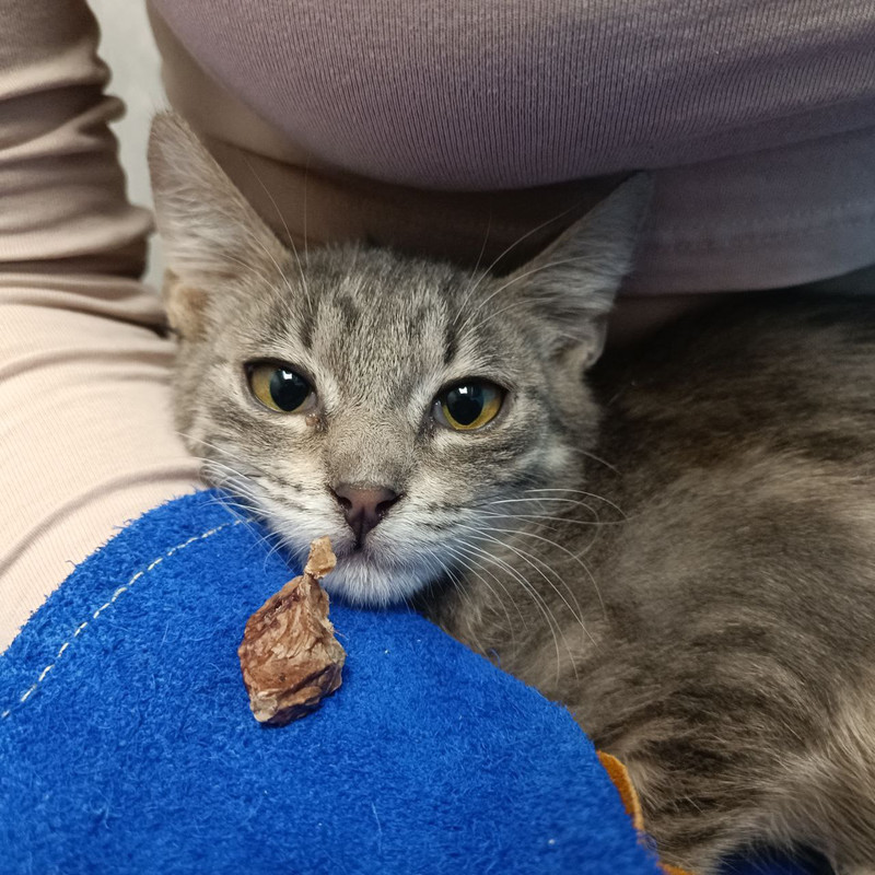 photo_2024-06-19_22-58-45