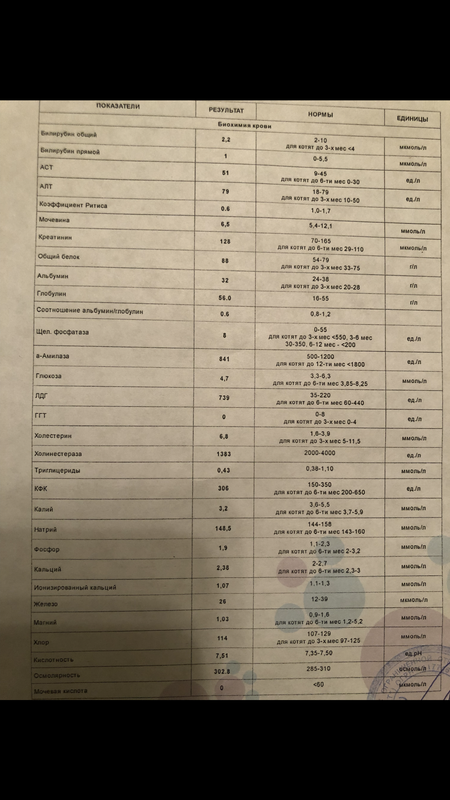 F45D564D-EF41-448F-BF0E-BD5A866D2D91