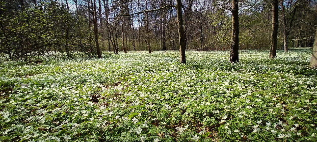 005 - IMG_20210430_202429