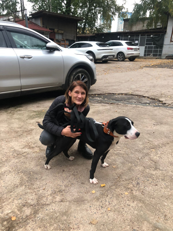 C30E29B0-CD62-49A1-8D8F-DBF44FD34F6F