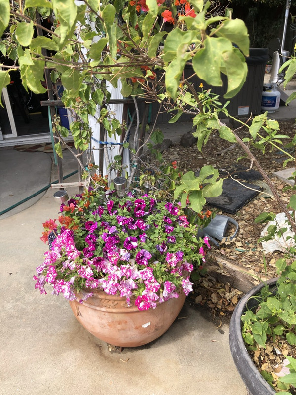 3E14C5E5-D523-40A7-8064-19C60C6FDD24_1_105_c