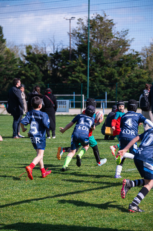 tournoi-de-latlantique-2026-adonis-griffon-171-55181283571-l