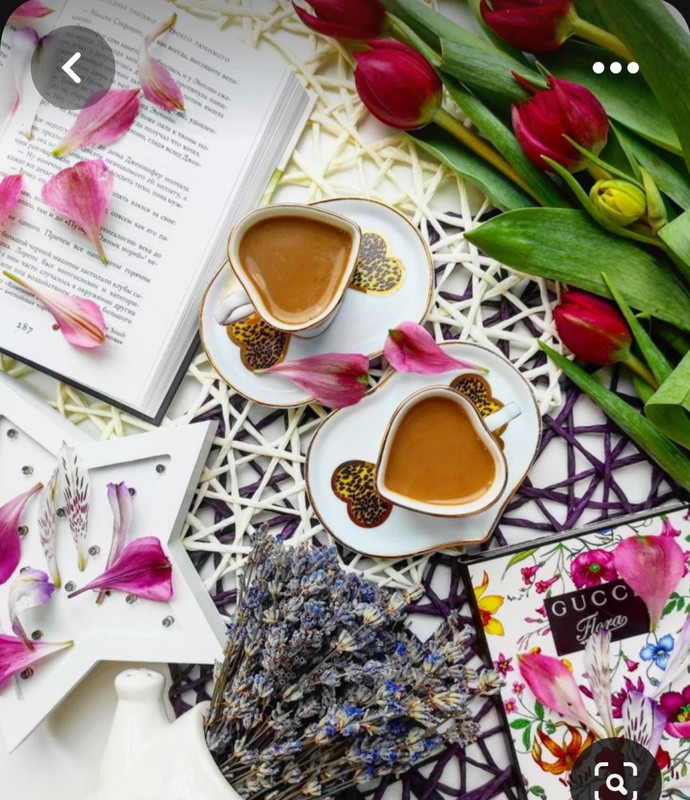 Screenshot_20230517_000907_Pinterest