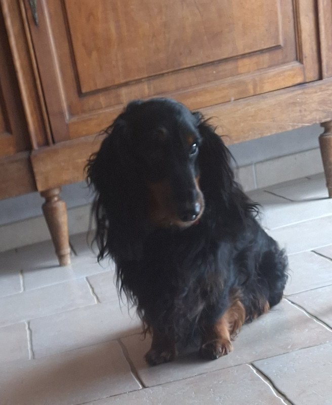 [Image: 20250130-124109.jpg]