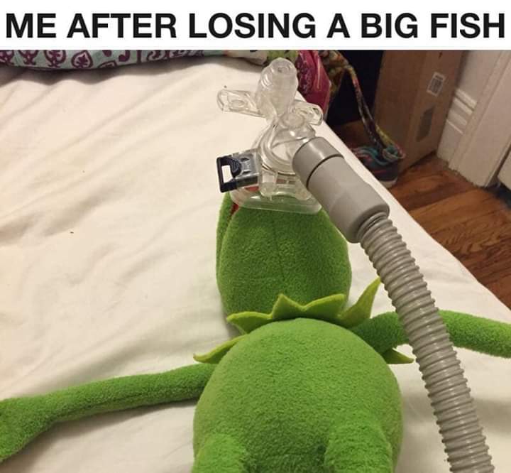 Bass Fishing Memes ***PG ONLY*** - Page 5 - General Bass Fishing