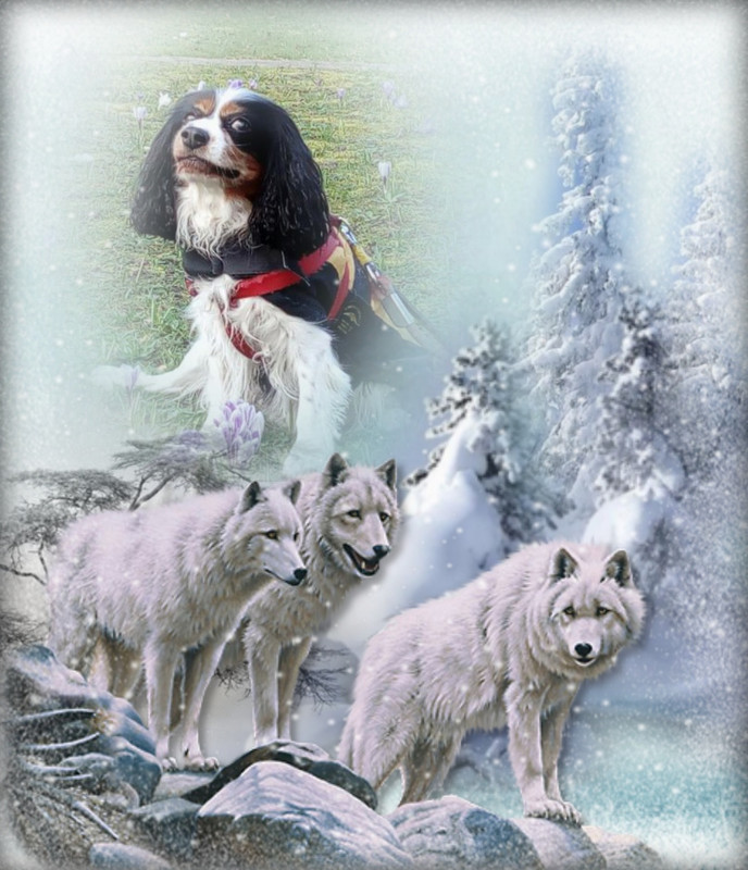 imikimi zo photo (4)