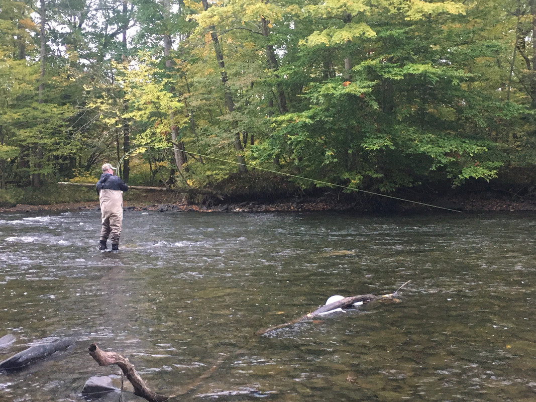 062A5E2D-0CE7-418D-962C-9D8A9A88691B