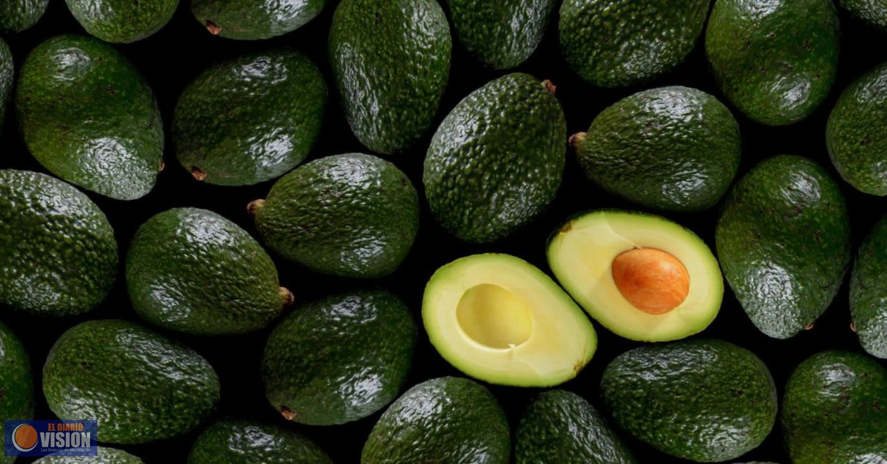 Michoacán asegura que pronto se volverá a exportar aguacate a Estados Unidos