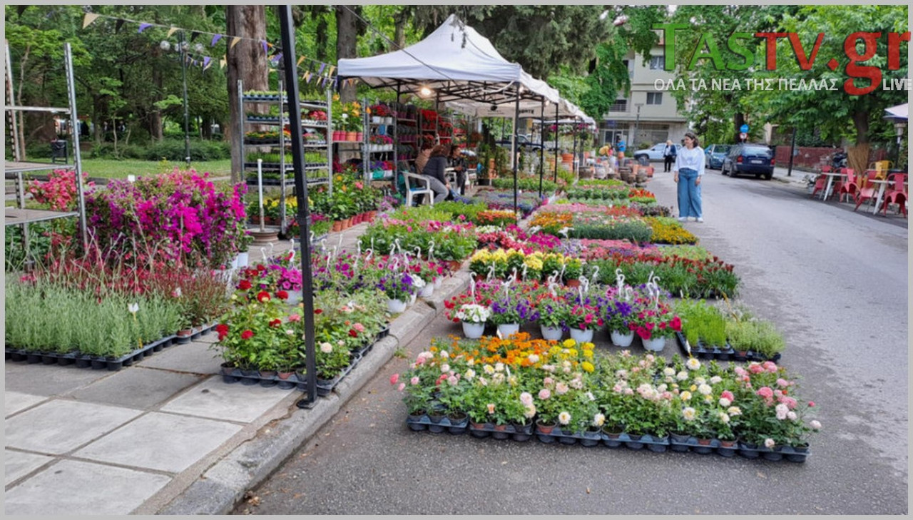 2025-05-09-234843-LGO