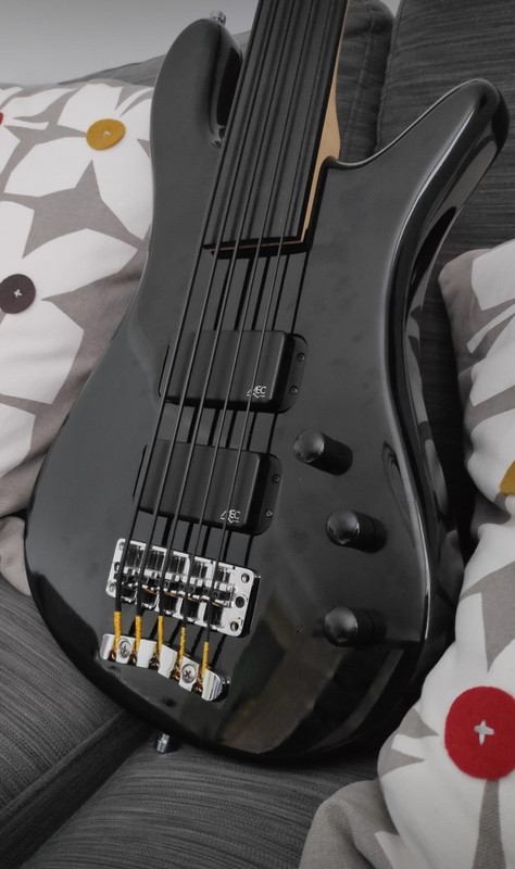Bass