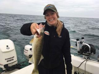 Lake Erie Walleye