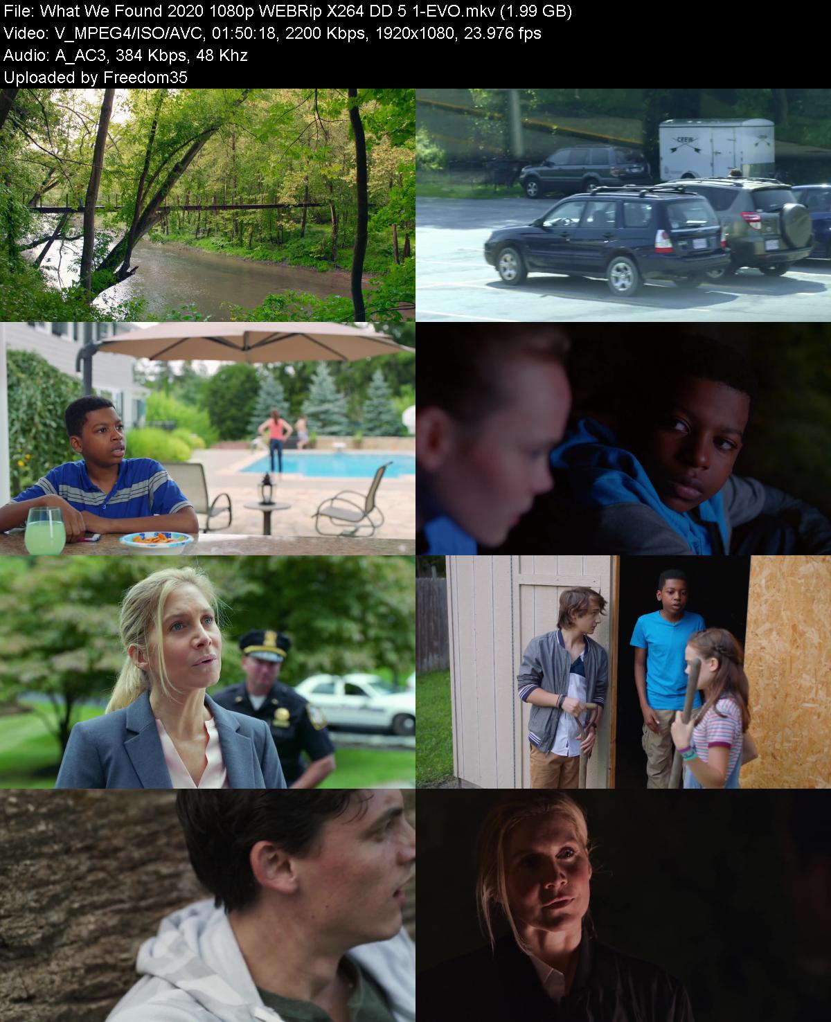 What-We-Found-2020-1080p-WEBRip-X264-DD-