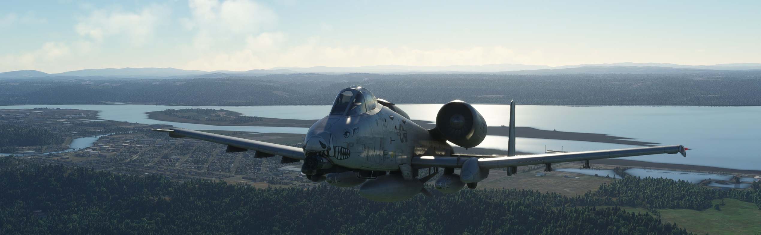 Warthog-finally.jpg
