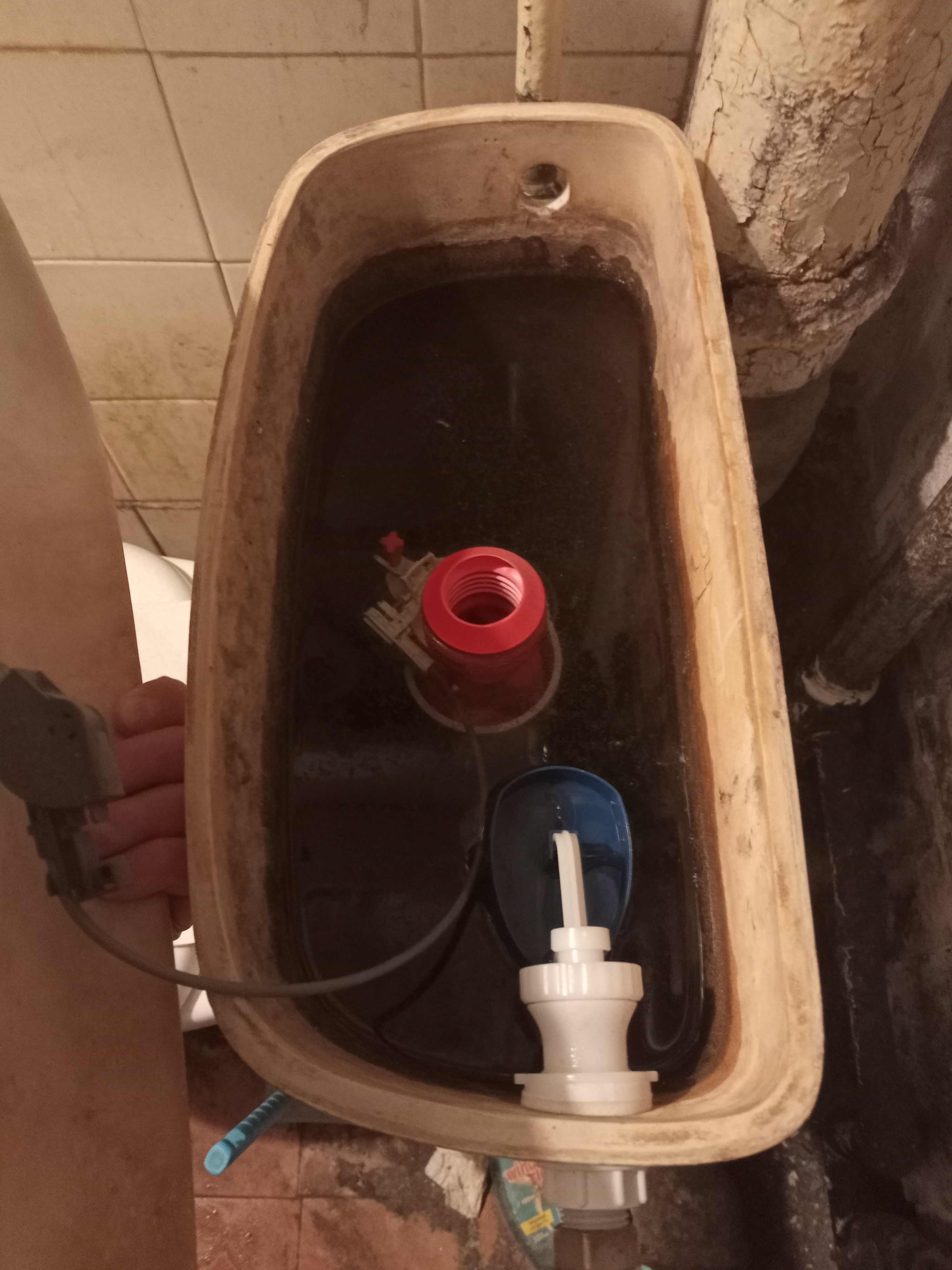 IMG20250521204932.jpg