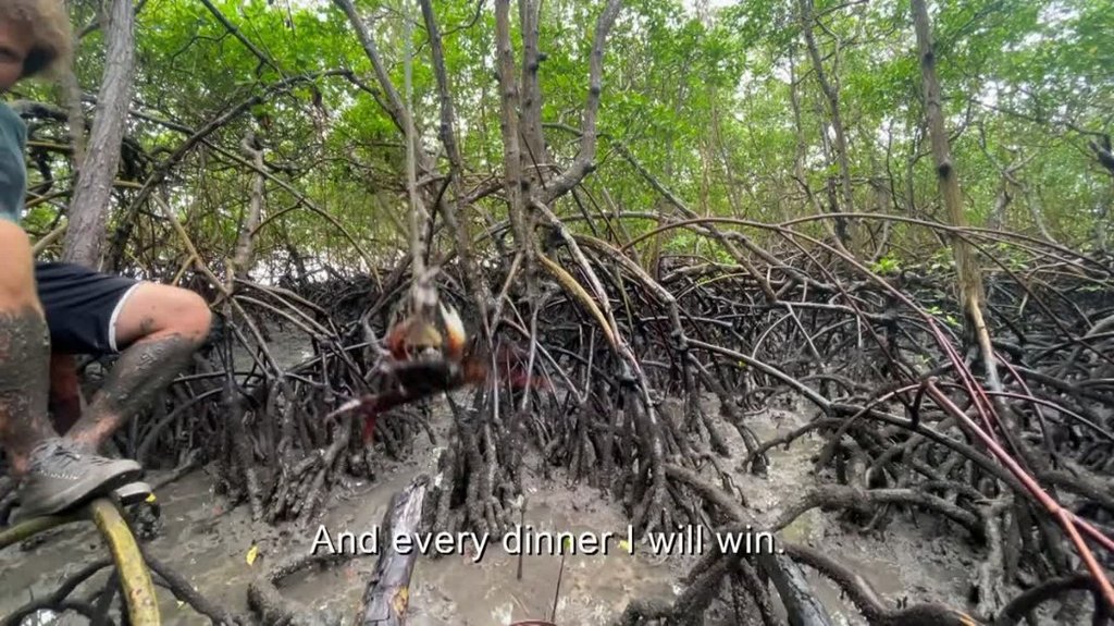 [Image: 8kpubqaf173y.jpg]