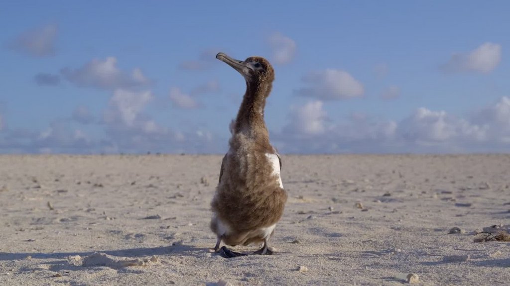 [Image: r08f1dqtnah3.jpg]