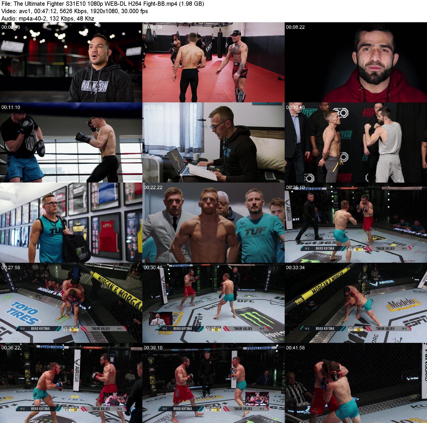 [Image: accp1srr95l4.jpg]