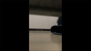[Image: Voyeur36505134620.jpg]