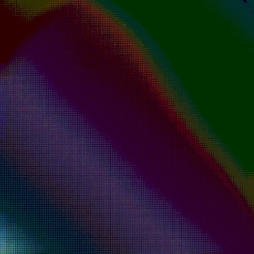 00-rami-moscovich-echosystems-t-E0273-we