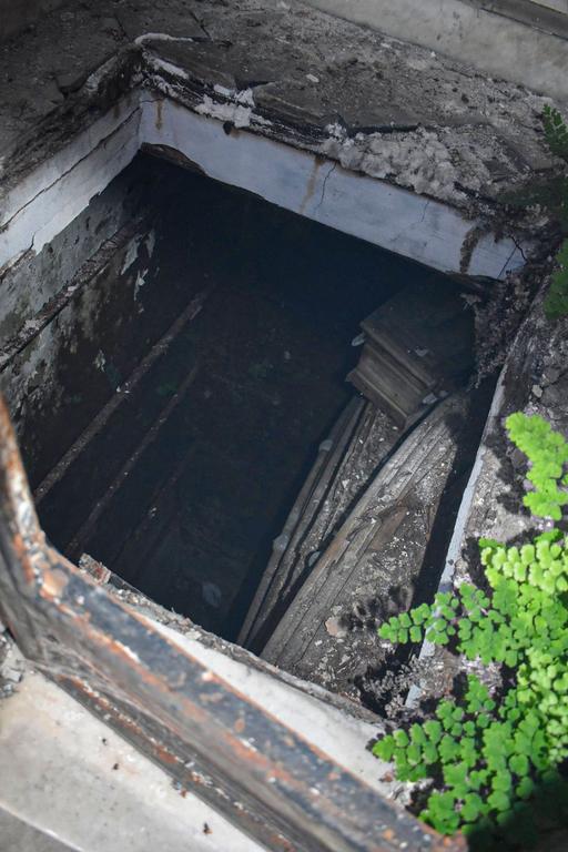 В джазе только девушки или аргентинско-бразильский калейдоскоп В джазе только девушки или аргентинско-бразильский калейдоскоп